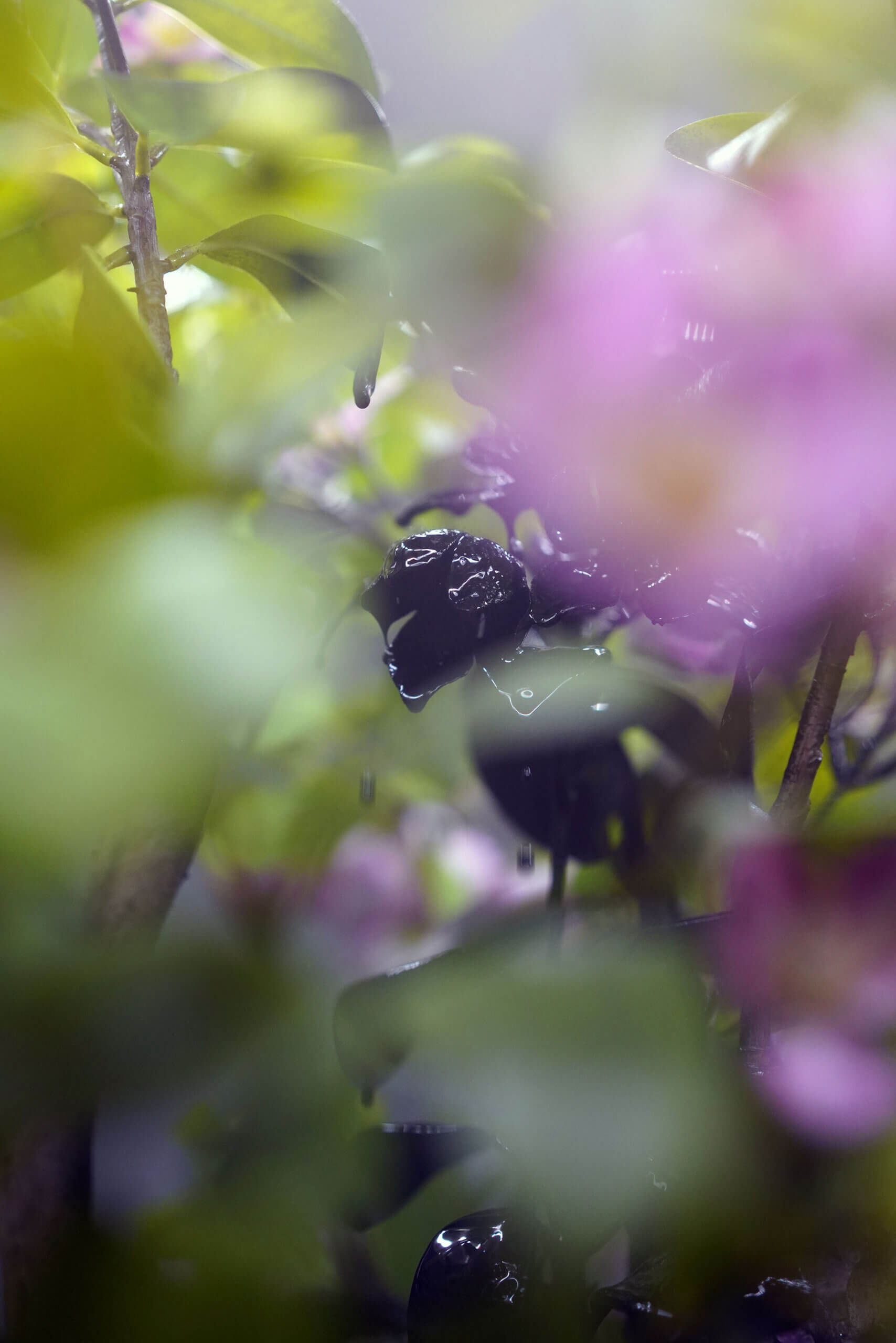 Close-up view of artwork - peach blossom tree is being spray painted using black paint